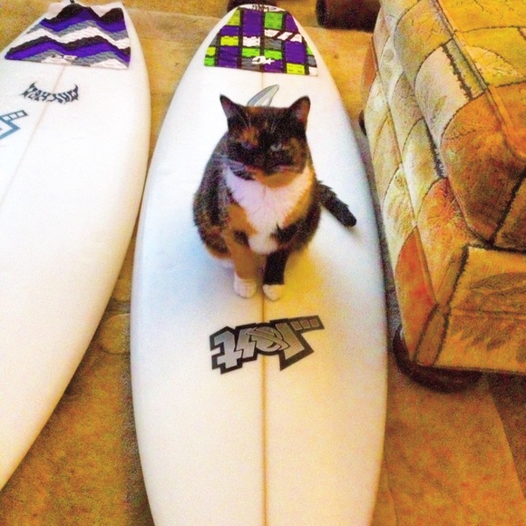 Meet your Posher. Maikai. - Latest Goodies: Polewear Rave Pieces Purses Shoes - Picture 7 of 8